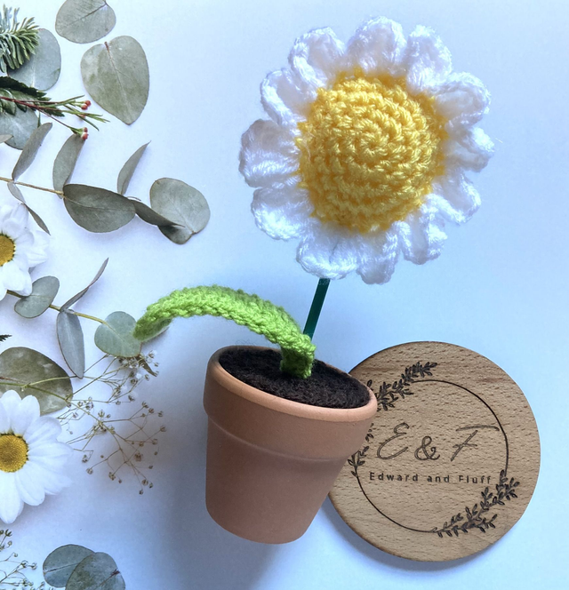 Handmade crochet Daisy plant in a terracotta pot