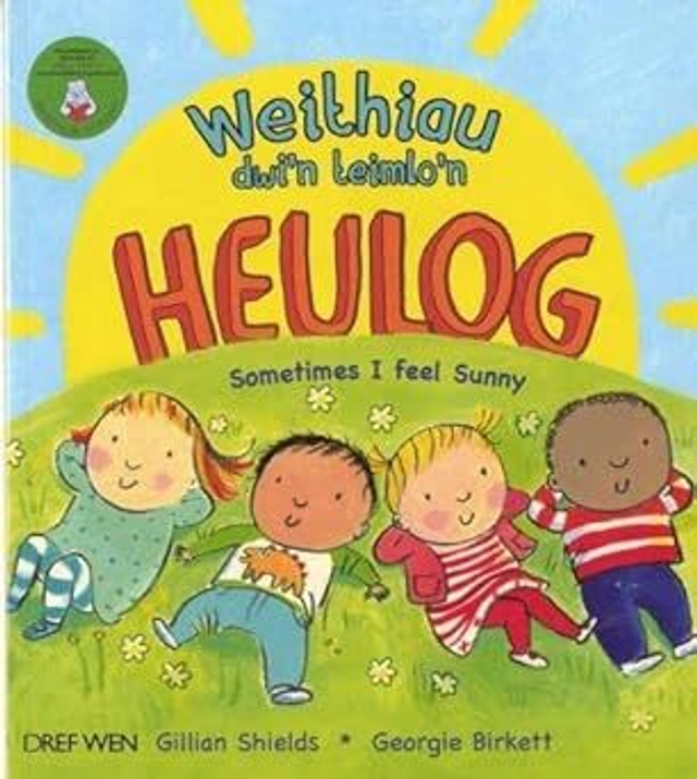 Weithiau, dwi&#039;n teimlo&#039;n heulog | Sometimes I feel Sunny