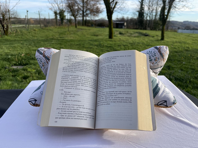 Coussin papillon cosy