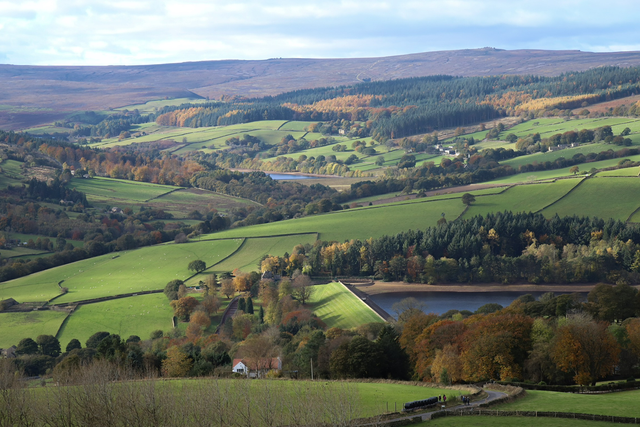 "Bradfield Landscape" Print   