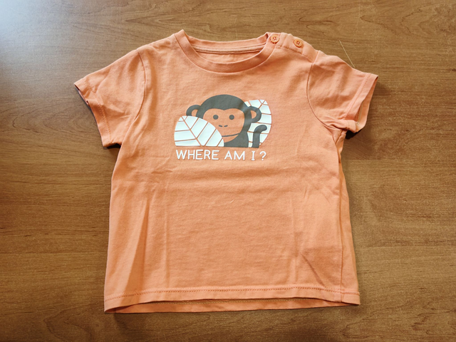 T-shirt Singe 12 mois