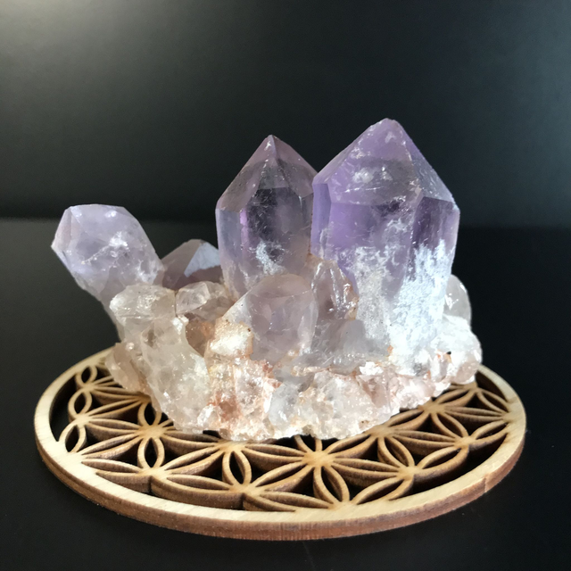 AMETHYSTE JACARANDA - CLUSTER [ ZAMBIE / Afrique Australe]