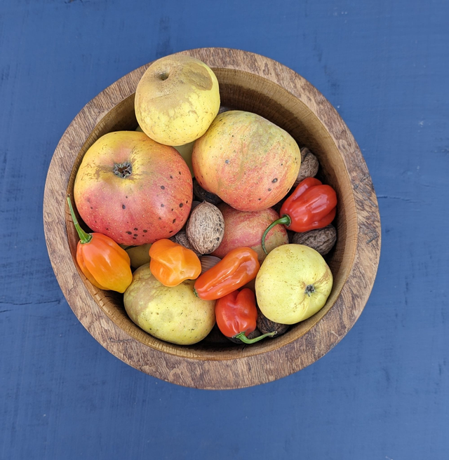 Coupe à fruits en chêne 