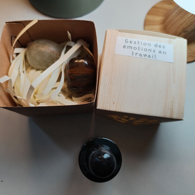 Box Gestion des émotions au travail