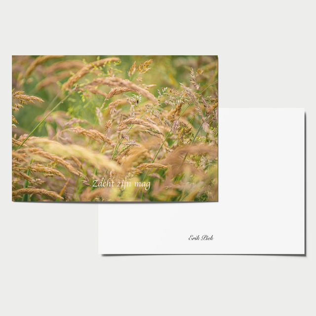 A6 kaart - &quot;Zacht zijn mag&quot;