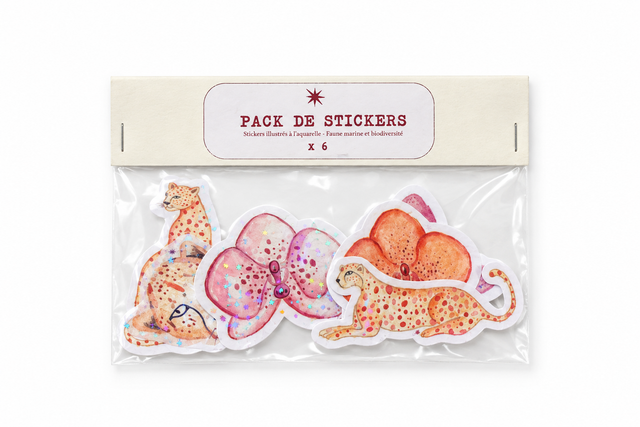 Pack stickers x 6