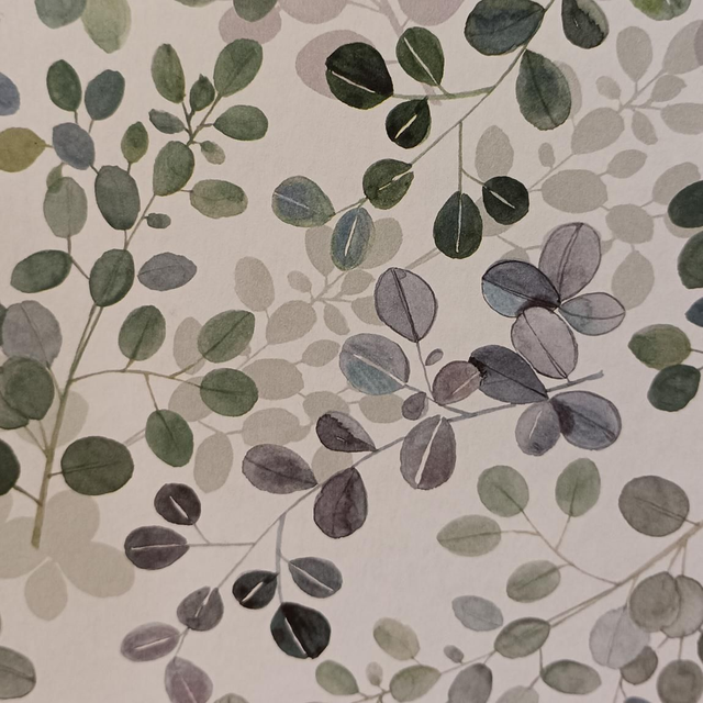 Album photo/Sketchbook