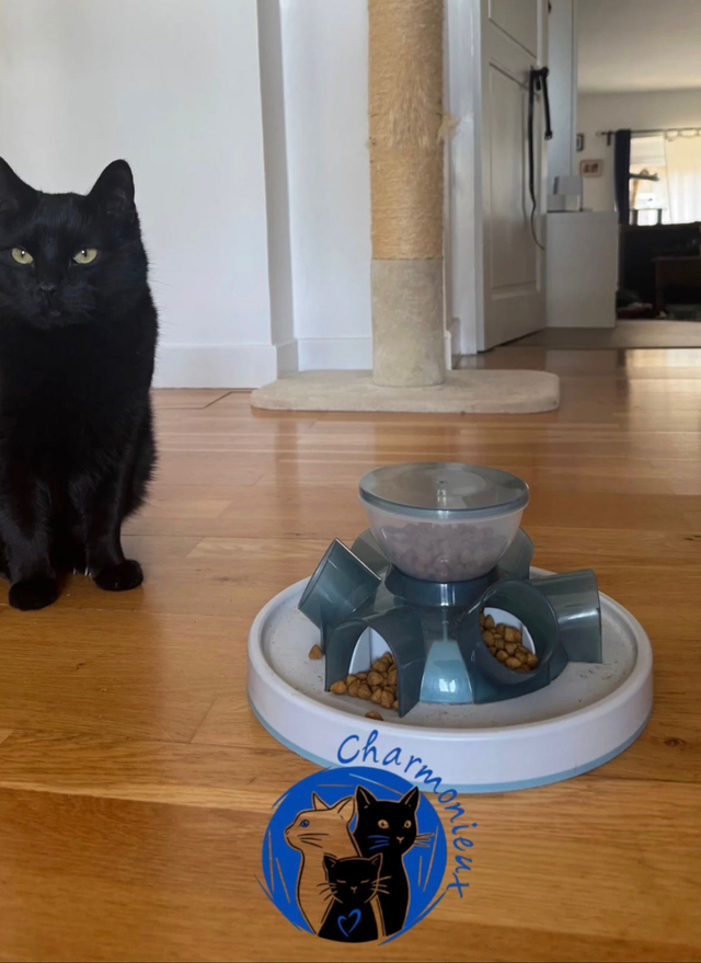 Tunnel Feeder Trixie