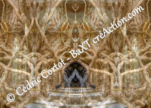 Carte postale - Entre réel et irréel (Ref IMG_0559-2)