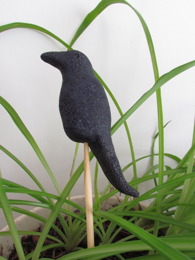 Prunelle la corneille