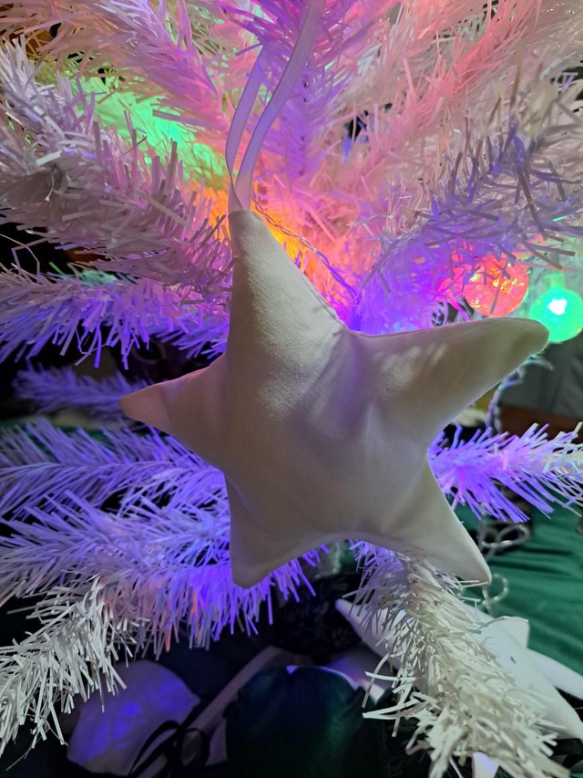 Déco de sapin étoile 