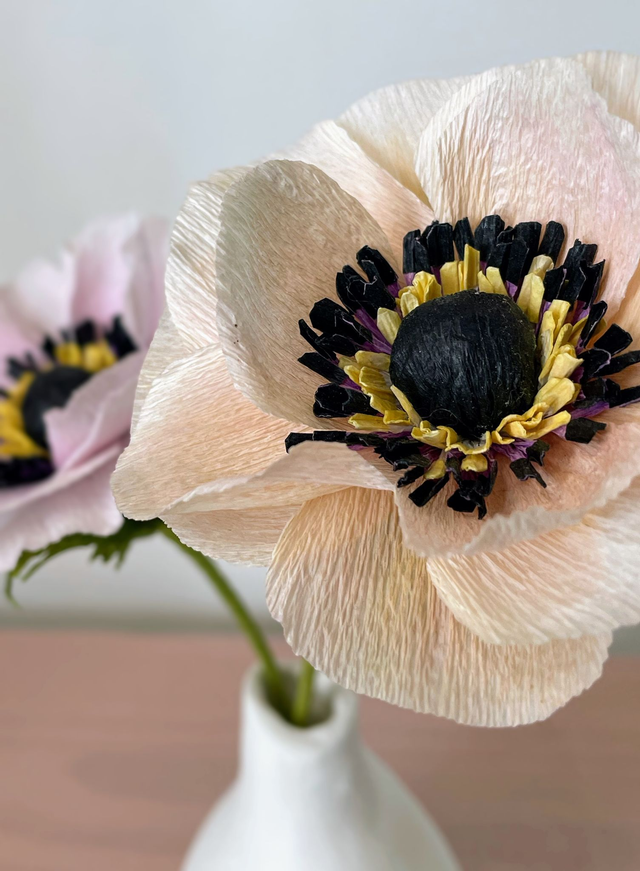 Anémone "Selma" avec son vase artisanal offert