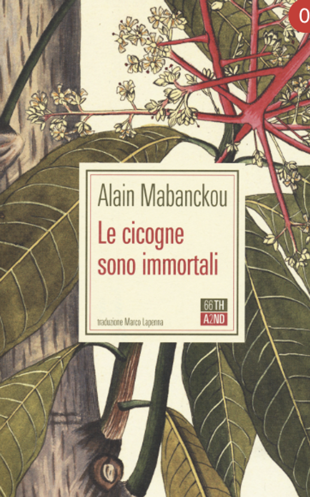 Mabanckou Alain - Le cicogne sono immortali