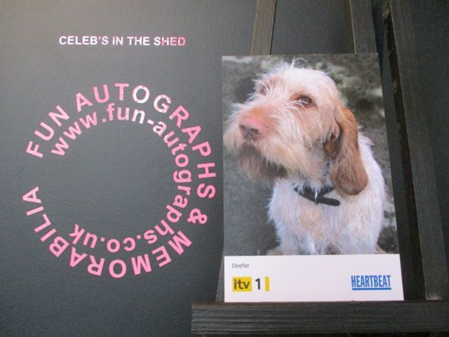 Deefer Original Yellow &amp; Black Heartbeat 6x4 Cast Card