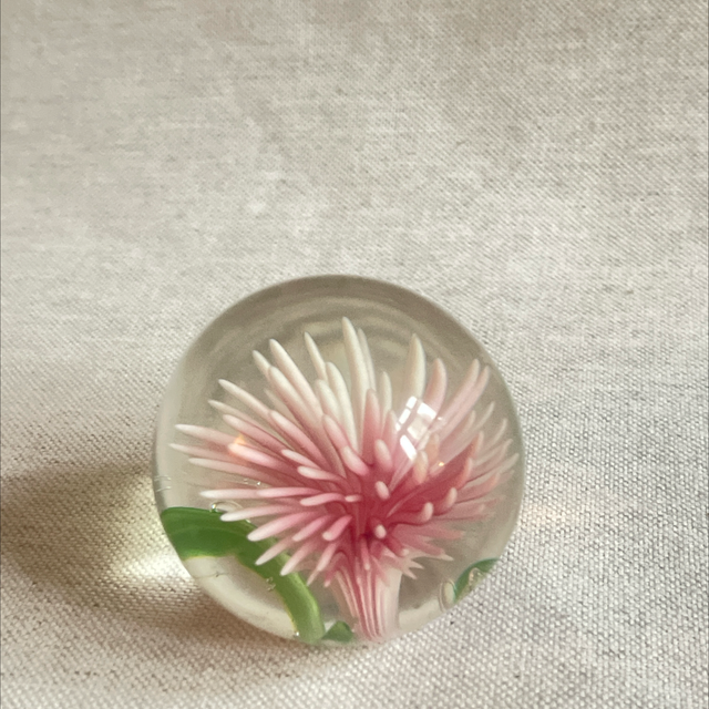 Paperweight Chrysanteme Glasart