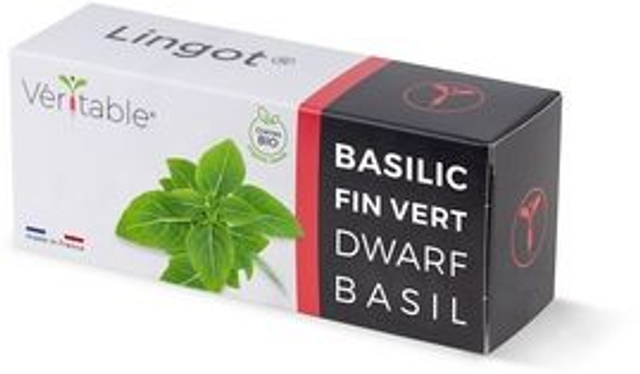 Véritable Lingot Dwarf Basil - Organic
