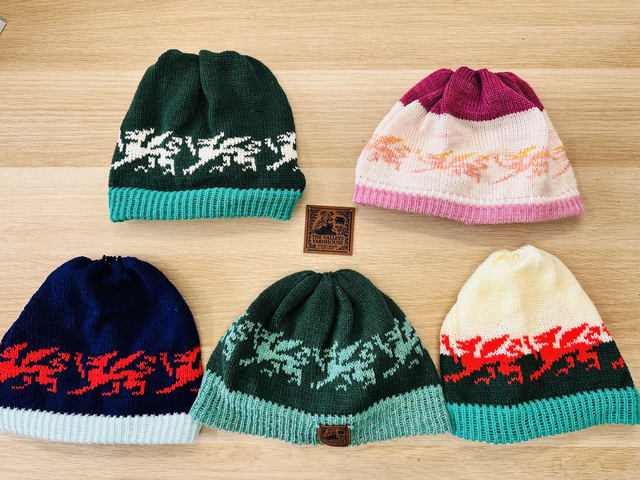 Y Ddraig Hats