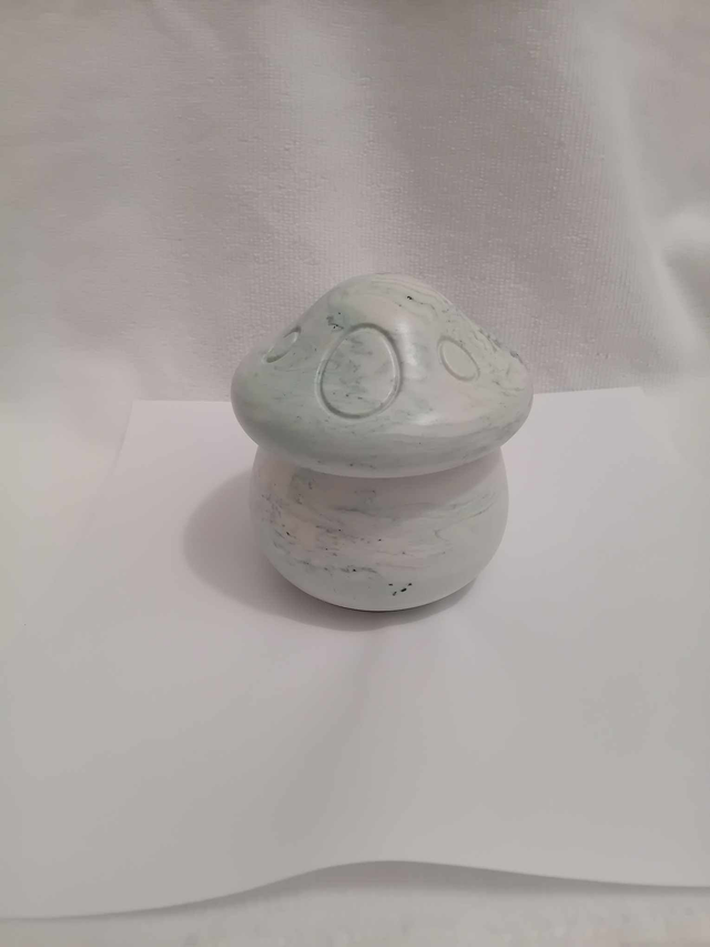 boite champignon en jesmonite 