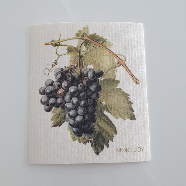 Schwammtücher / Früchte