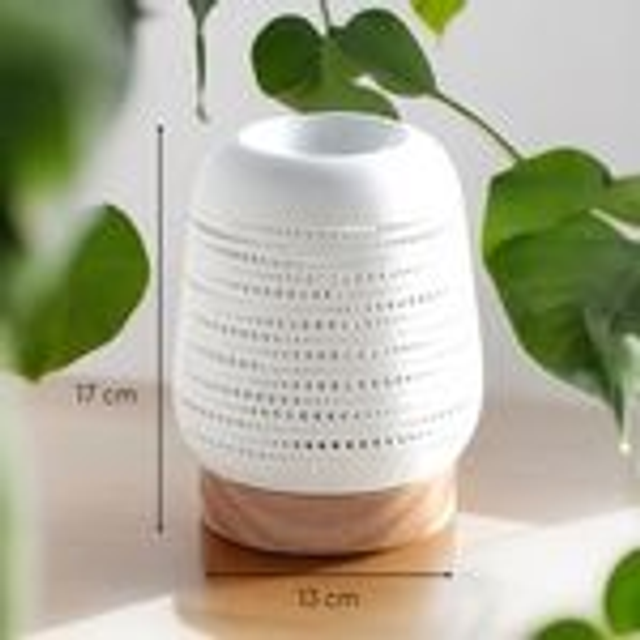 Diffuseur par Chaleur Douce CALORYA N° 16