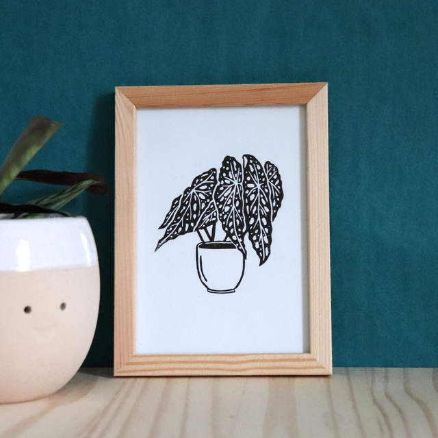Linogravure A6 Begonia Maculata