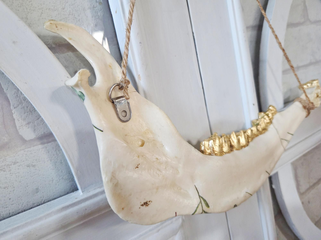 Decorative Fallow Deer Jaw Bone - Floral Design