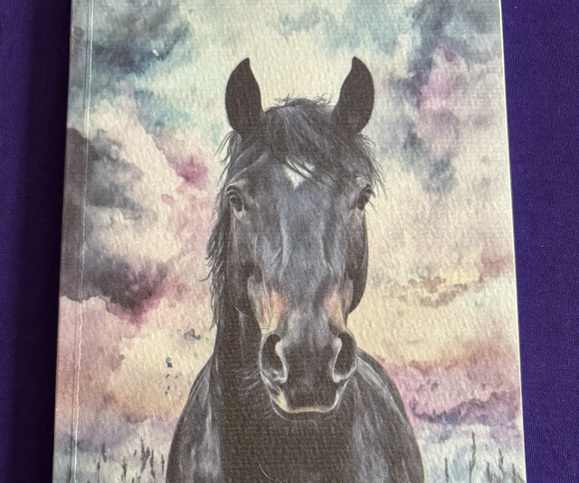 Lined Note Pad Horse Black