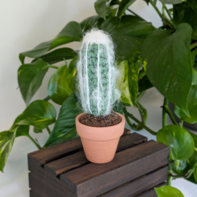 Striped Crochet Cactus