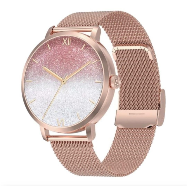 DT NO.1 Correa metálica 