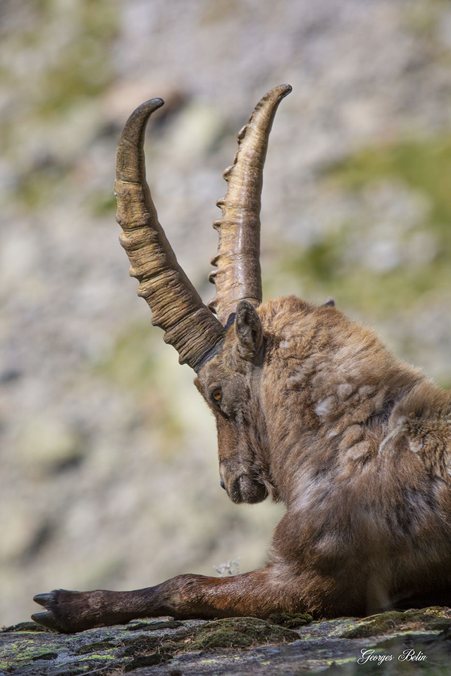 Photo sur aluminium dibond 20x30