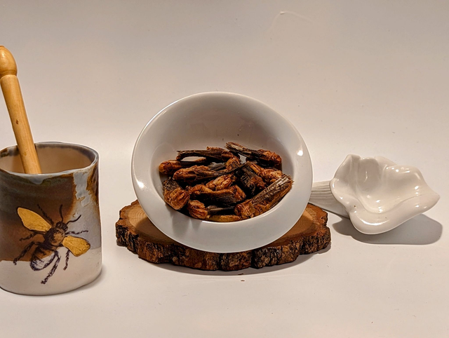 VRAC - Criquets à l'unité