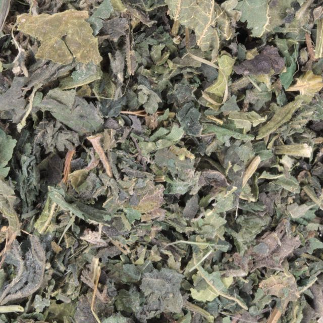 Brandnetel kruid (Nettle herb) - BIO