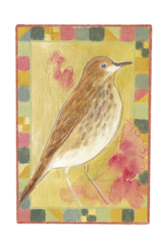 Song Thrush Card 