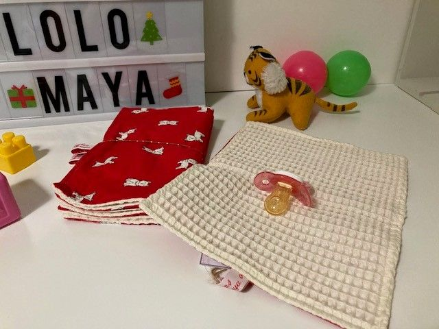 4 Lingettes Gdes BB Chiens