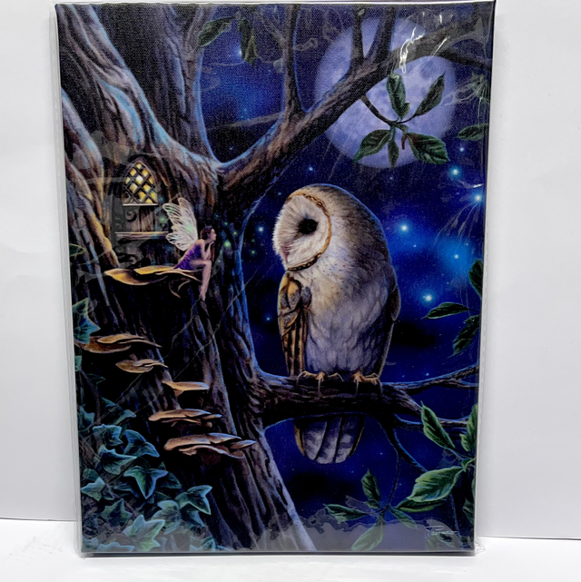 Lisa Parker Art - Fairy Tales Owl Hanging Canvas Print