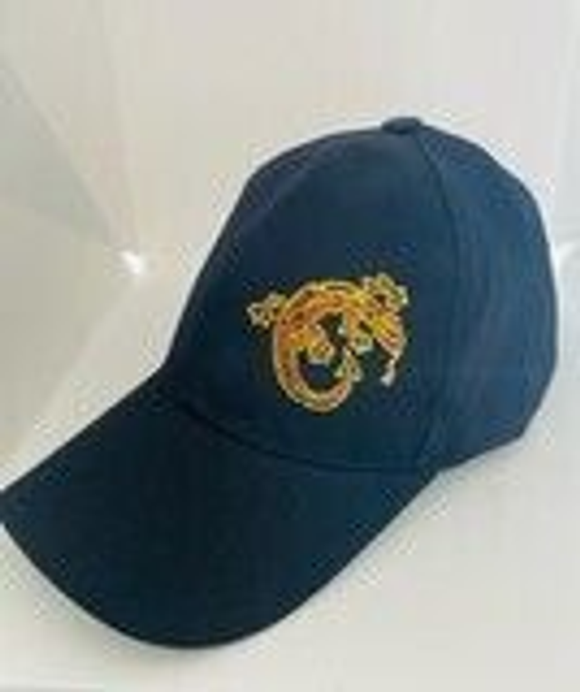 Maui-diving casquettes unisex