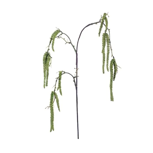 Amaranthus Spray Groen 