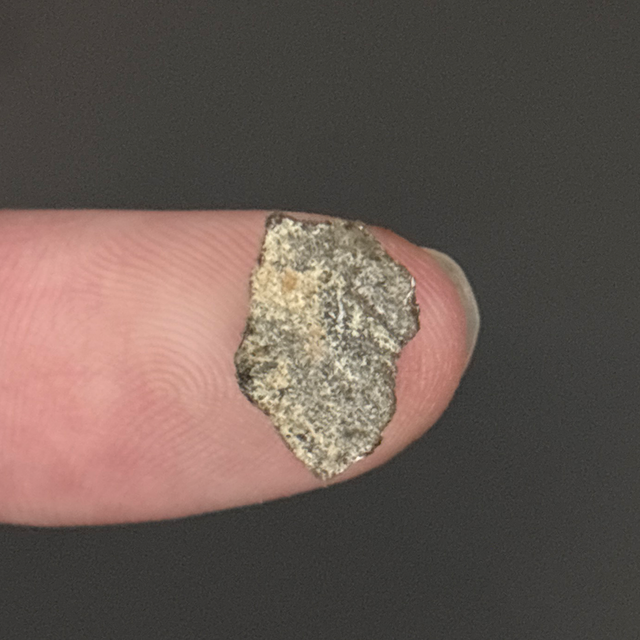 Therizinosaurid Eggshell