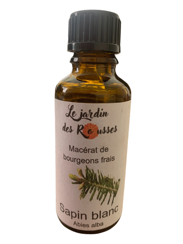 SAPIN BLANC- Macérât glycériné de bourgeons Flacon de 30 ml