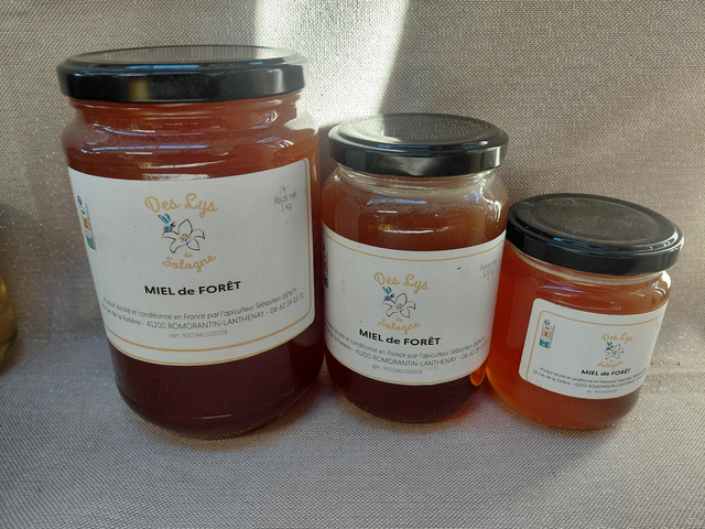 Forêt typé Châtaignier 2025