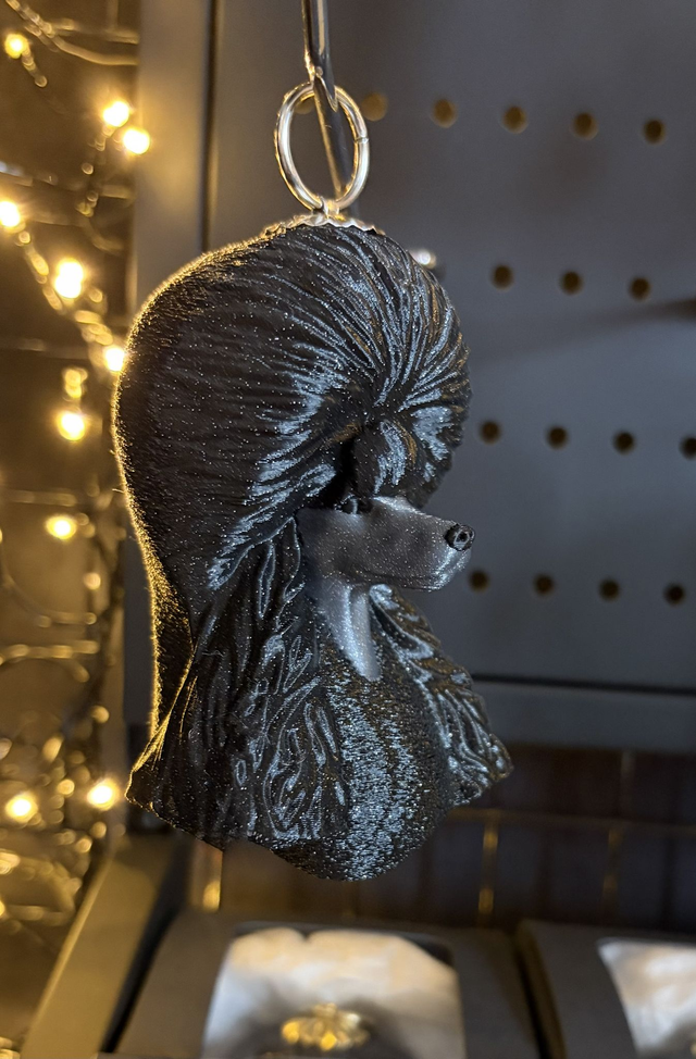 Poodle Black Galaxy