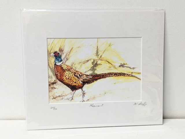 Limited Edition Print by Mairead Duffy - &#039;Pheasant&#039;