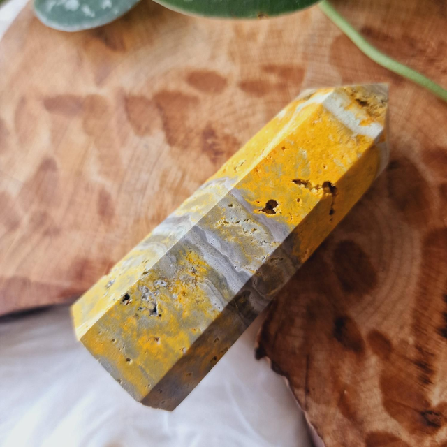 Bumblebee Jasper Point 104g