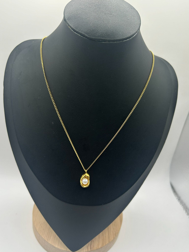 Stainless Steel Necklace (SSN45J)