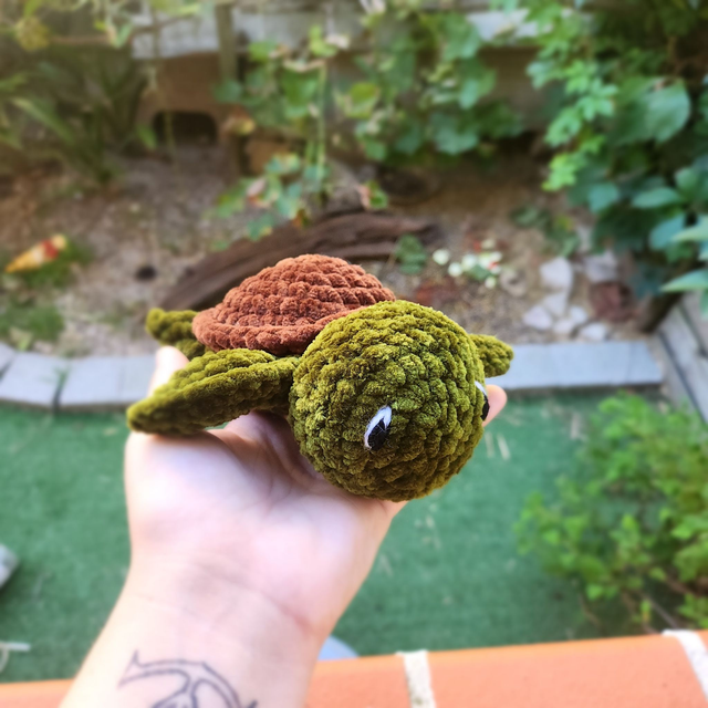 Tortue de terre