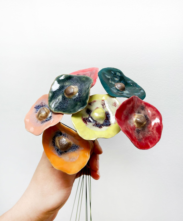 Alliance colorée Printemps - Coquelicots Multicolores (lot de 7)