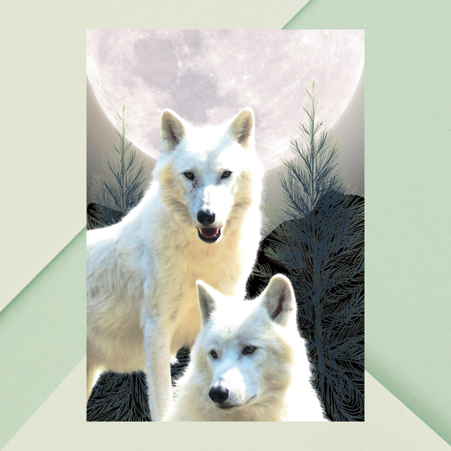 Impression de Deux Loups Blancs sous la Lumière de la Lune / White Wolves Print - Moonlight Serenity