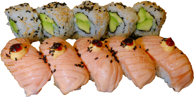 Sushilajitelma 2 (10 kpl)