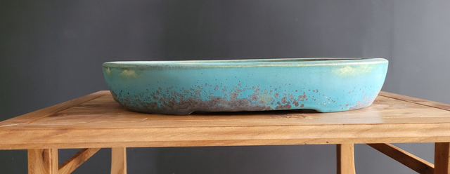 (P015) Sabine Besnard