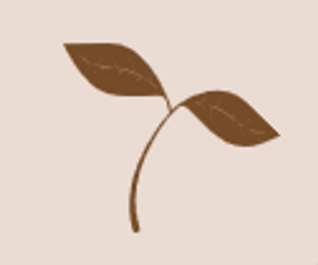 Accompagnement Phytothérapie équine